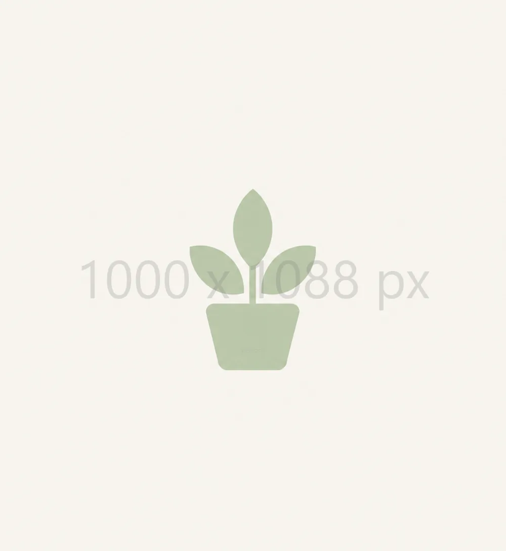 1000 × 1088 px