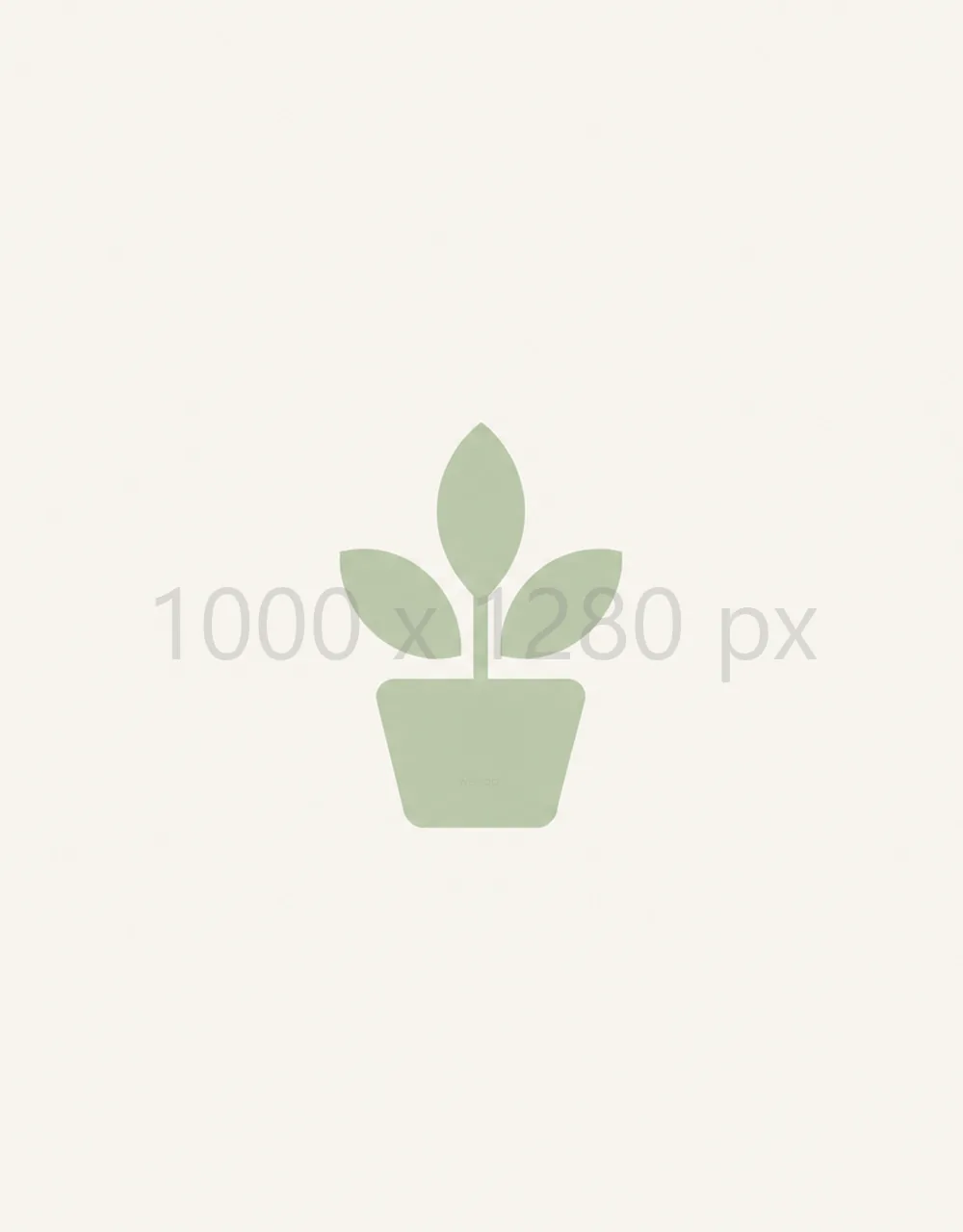 1000 × 1280 px