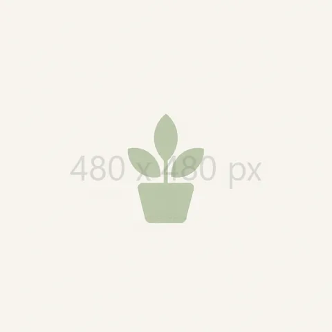 480 × 480 px