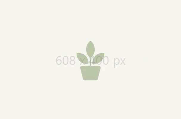 608 × 400 px