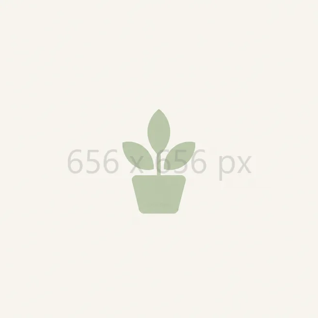 656 × 656 px