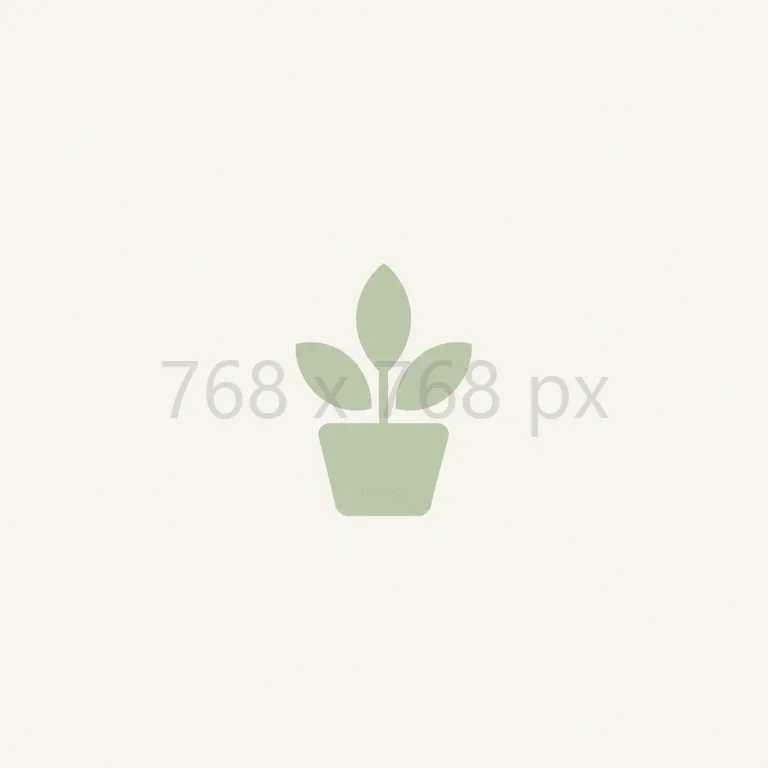 768 × 768 px