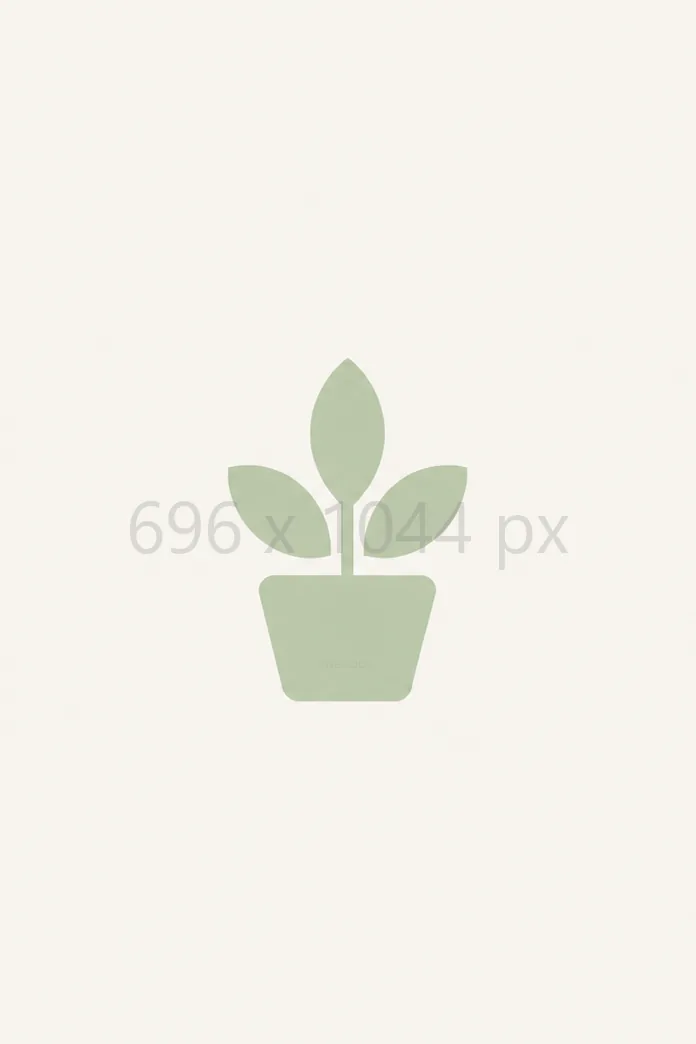 696 × 1044 px
