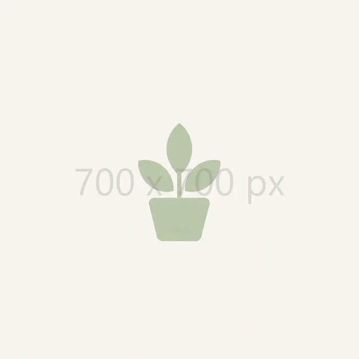 700 × 700 px
