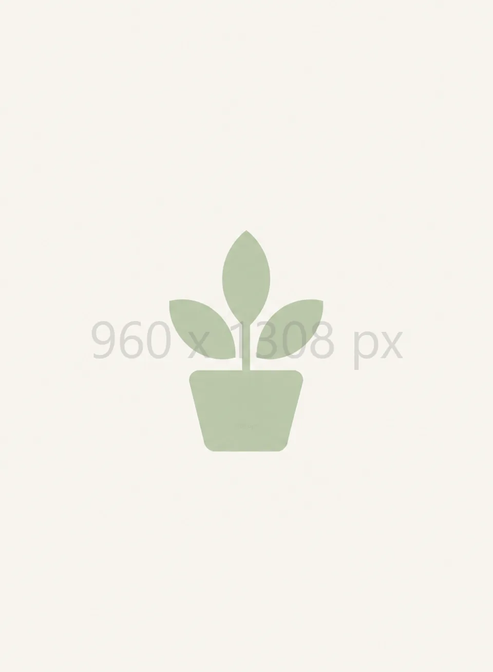 960 × 1308 px