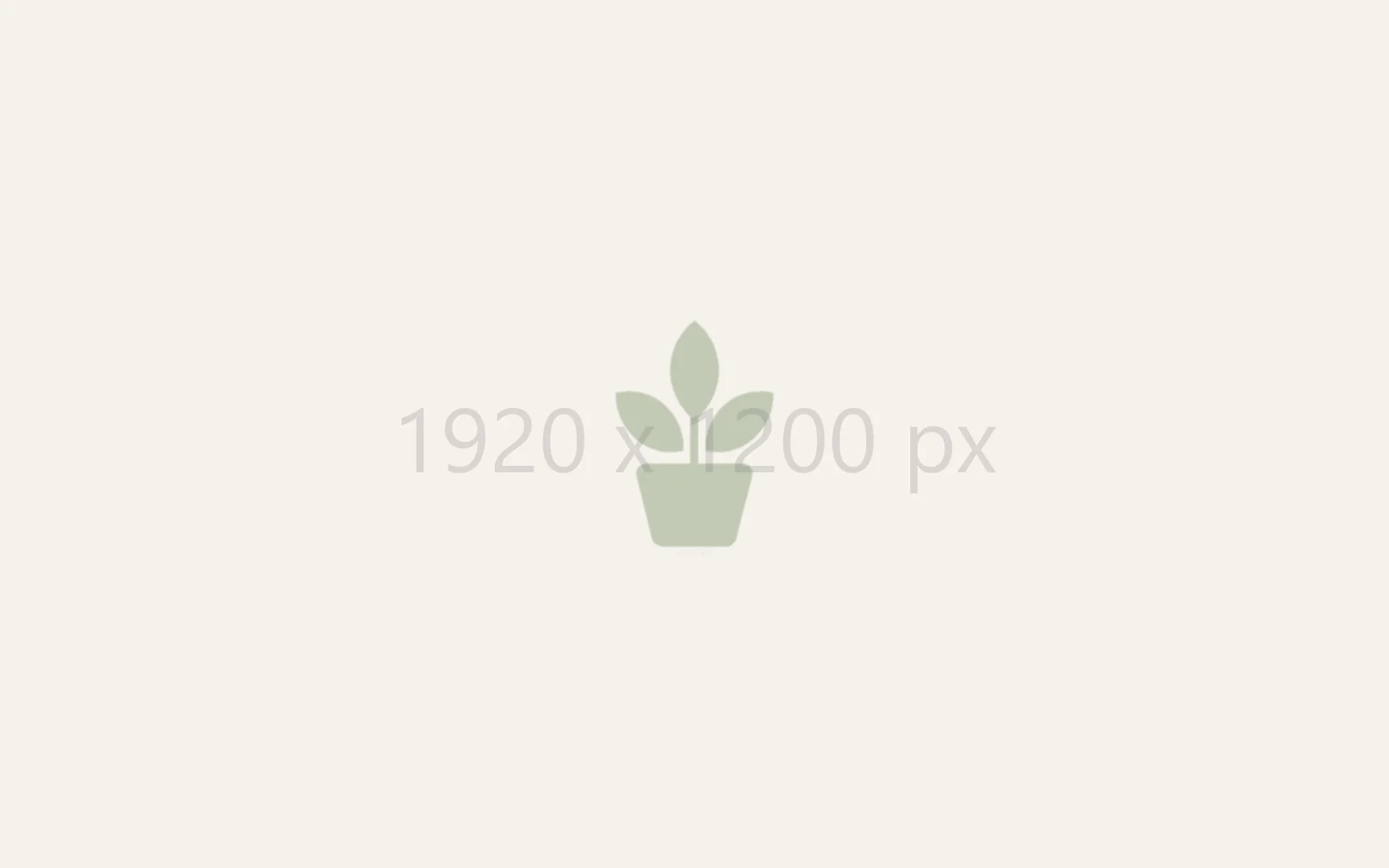 Placeholder 1920 x 1200 px