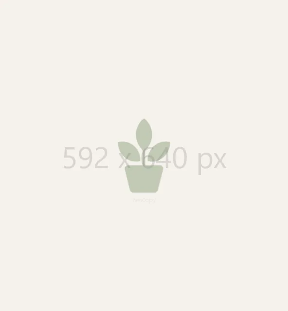 Placeholder 592 x 640 px