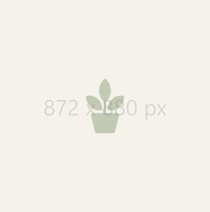 Placeholder 872 x 880 px